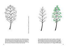 Laden Sie das Bild in den Galerie-Viewer, BRUNO MUNARI - Drawing a tree