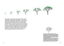 Laden Sie das Bild in den Galerie-Viewer, BRUNO MUNARI - Drawing a tree