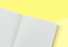 Laden Sie das Bild in den Galerie-Viewer, TRAVELER'S COMPANY – Traveler's Notebook Passport - Refill 002 - Kariert