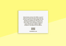 Load image into Gallery viewer, SCOUT EDITIONS - Mini Card - Spectacles